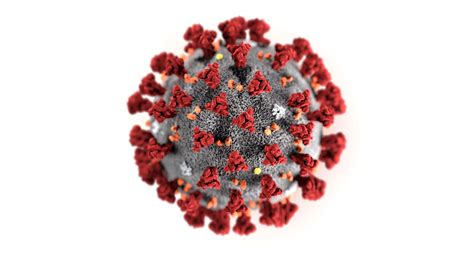 Burun tutulması, burun axması, faringit və ya ishal ola bilər. Information sur le coronavirus COVID-19 à l'intention des ...