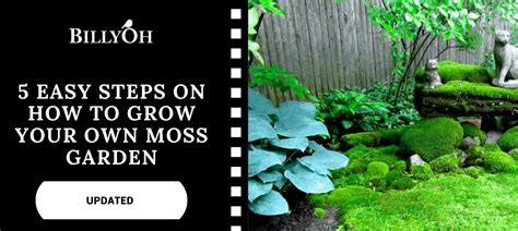 How To Grow Your Own Moss Garden In 5 Easy Steps Updated Billyoh