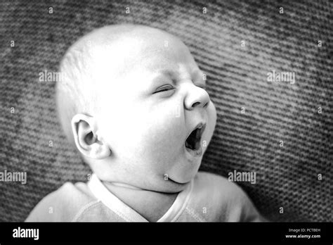 Baby Boy 6 Months Yawning Black And White Shot Stock Photo Alamy