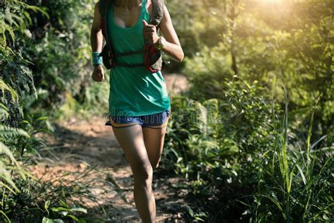 Woman Trail Runner Running In Morning Forest Stock Image Image Of