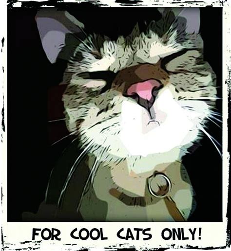 For Cool Cats Only Digital Art By Tomasz Kiebzak Fine Art America