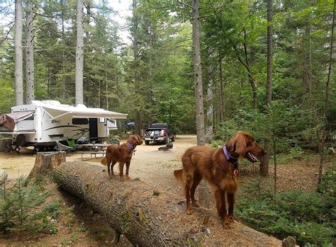 Best Campgrounds In New Hampshire The Top 7