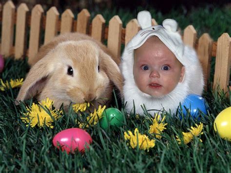 Happy Easter Funny Blog2best