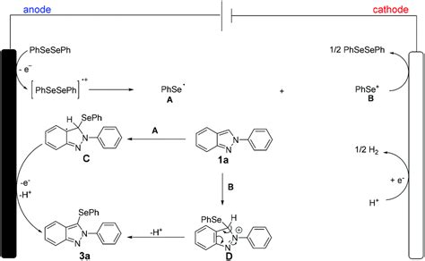 Electrochemical Regioselective CH Selenylation Of 2 H Indazole