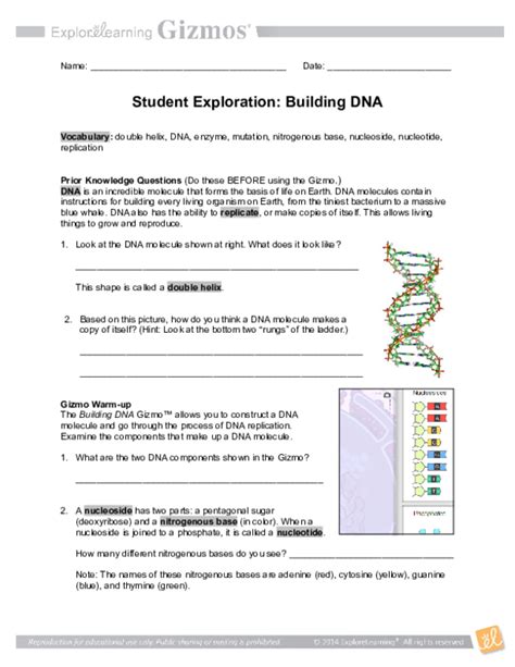Gizmo student exploration building dna answer key. Building Dna Gizmo Answer Key Free : Diagram Student Exploration Hr Diagram Full Version Hd ...