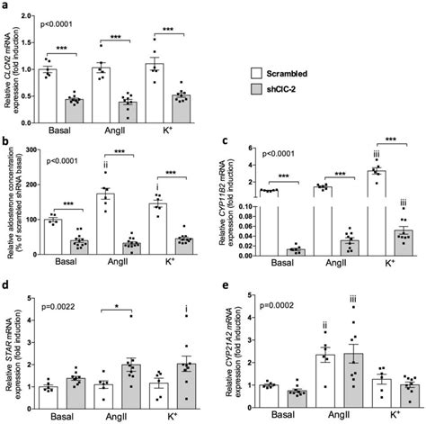 Effect Of Clc 2 Downregulation On Aldosterone Production And Expression