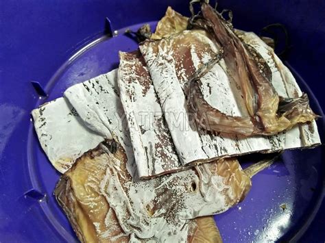 Inilah beberapa cara yang harus anda ketahui tentang cara melembutkan rambut keriting dengan metode yang mudah dan biaya yang murah. Sotong Kering Ni Liatnya Bukan Main Lagi, Nak Lembutkan ...