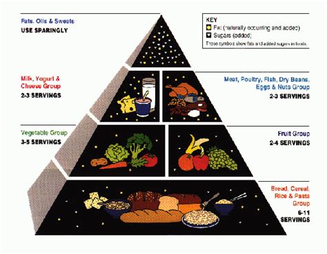 Get a quick overview of food pyramids from food chain, food web, food pyramid in just 3 minutes. Indian Food : Nutrition: The Food Guide Pyramid