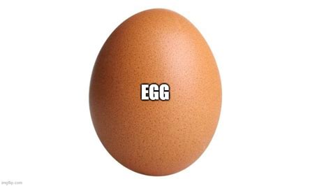 Egg Imgflip
