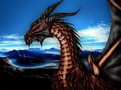 Guardian Dragon Wallpapers Top Free Guardian Dragon Backgrounds