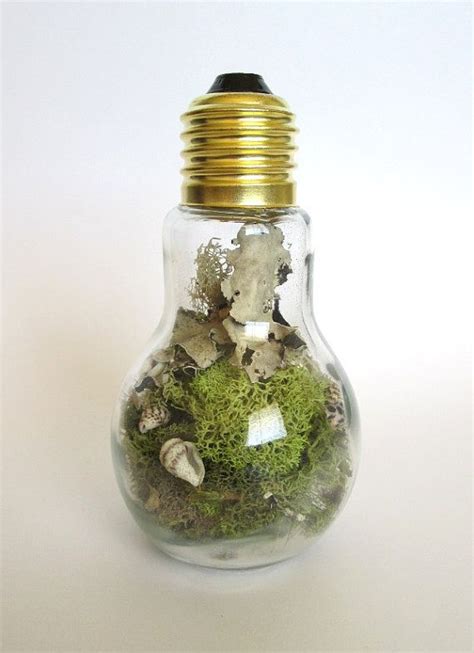 Glass Light Bulb Jar With Live Moss And By Pepperboxcreations 1500