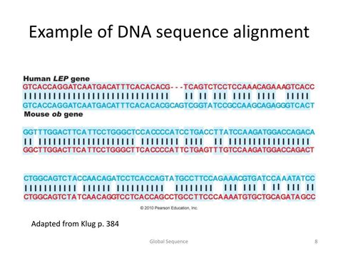 PPT - Sequencing a genome and Basic Sequence Alignment PowerPoint ...