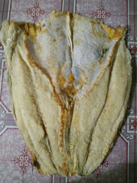 Ikan segar ditandai dengan isi perut ikan yang berwarna kemerahan dan terlihat segar. Banner Jual Ikan Laut Segar - gambar spanduk