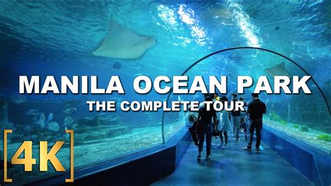 The Complete Walk Tour Of Manila Ocean Park 8 Attractions Virtual
