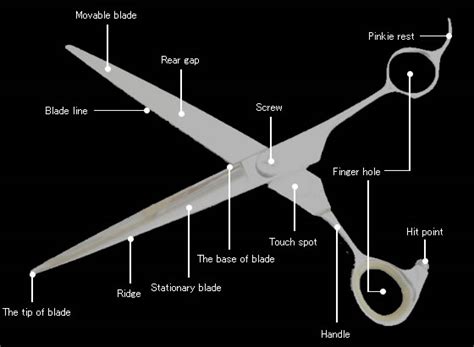 Glossary For Scissors
