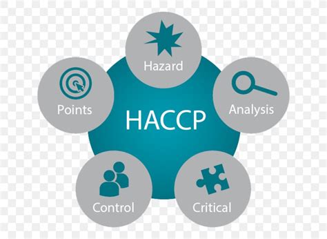 Hazard Analysis And Critical Control Points Food Safety PNG 690x600px