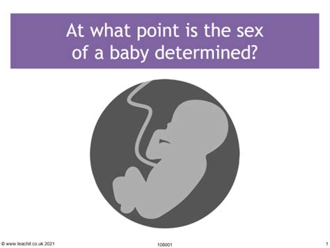 Sex Determination Complete Powerpoint Lesson Ks3 4 Science Teachit