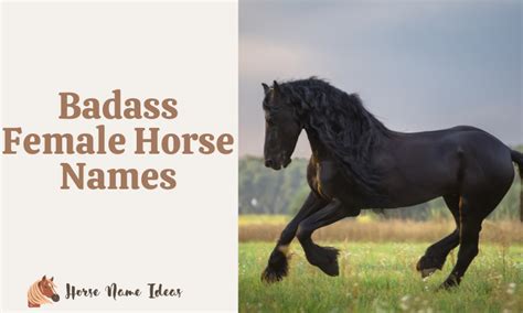 250 Badass Female Horse Names With Meanings