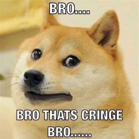 bro thats cringe bro bro you just posted cringe know your meme