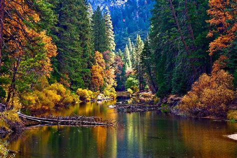 Yosemite Merced River In Fall Color Photos Diagrams And Topos