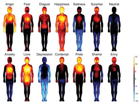 Mindfulness Of Emotions Signs And Meanings