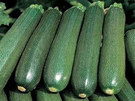 Want to use it in a meal plan? 40 Green zucchini seeds Organic seeds Non gmo seeds ...