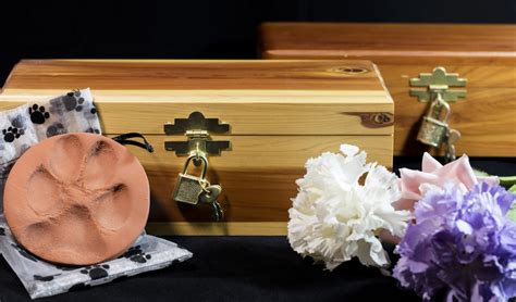 It may bring a feeling of closure by having a private service and keeps the remains of the deceased cat nearby. How Much to Cremate a Dog Costs? Dog Cremation Guide, Tips ...