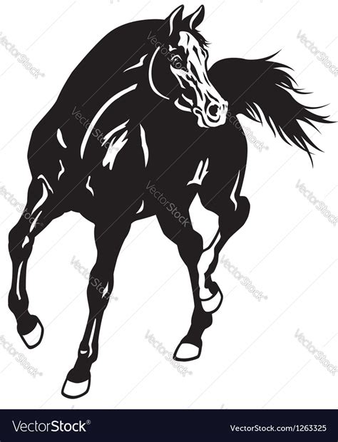 Arabian Horse Black White Royalty Free Vector Image