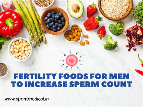 fertility foods for men to increase sperm count sprint medical