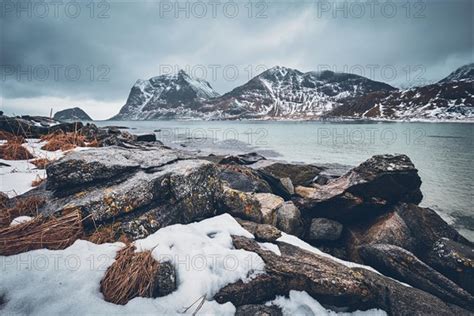 Rocky Coast Of Fjord Of Norwegian Sea In Winter With Snow Haukland