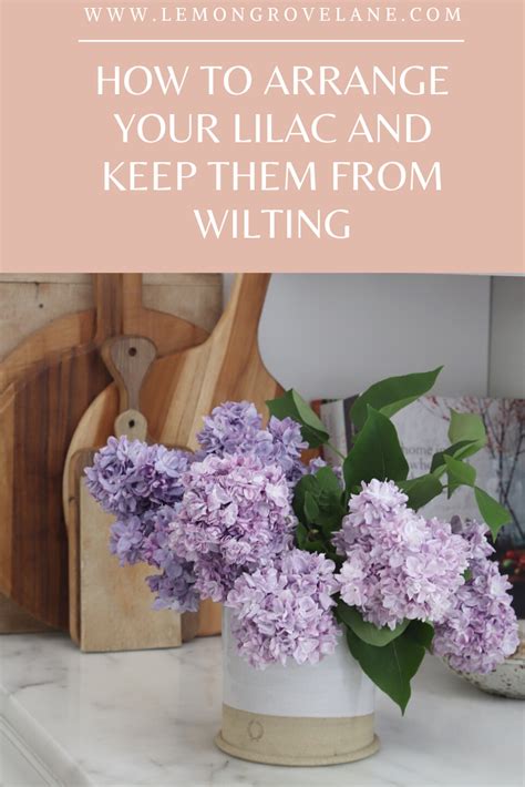 How To Arrange Your Lilac And Keep Them From Wilting Lilac