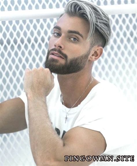 Les Cheveux Gris Pour Les Hommes Ont Ils Tendance à Rester Ici