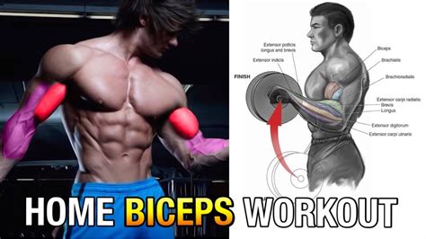Home Bicep Workout No Equipment Bicep Exercises At Home Without Weights YouTube