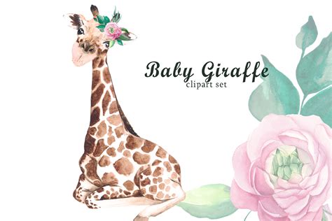 Watercolor Safari Baby Giraffe Clipart Graphic By Coloursofwind