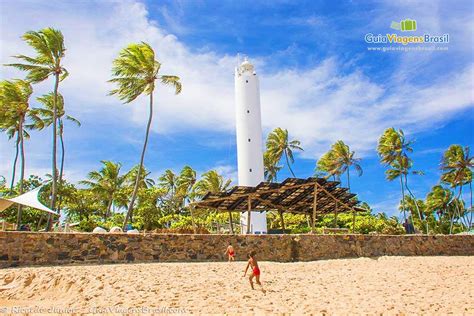 fotos da praia na praia do forte veja as melhores imagens