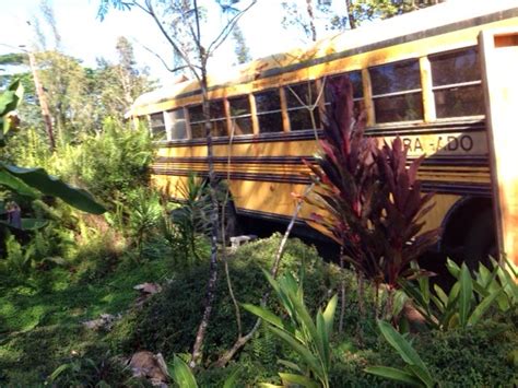 I wrote to the friend. Small Storage Sheds (Puna Area) Yurts (Islandwide ...
