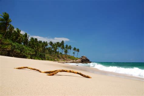 Best Beaches In Sri Lanka Travel Sri Lanka Blog