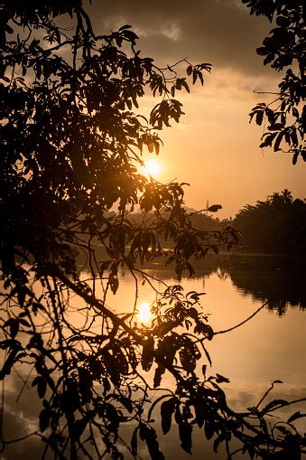 Beautiful Sunset In Sri Lanka Stock Photo Download Image Now