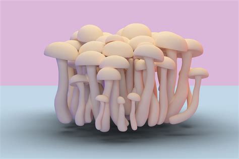 Can Mushrooms Help Enhance Your Sex Life We Explore The Latest Libido