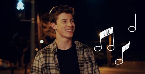 Popstar Shawn Mendes Show You Lyric Video Is Cool And Cute Shawn