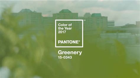Greenery Is Pantones 2017 Color Of The Year
