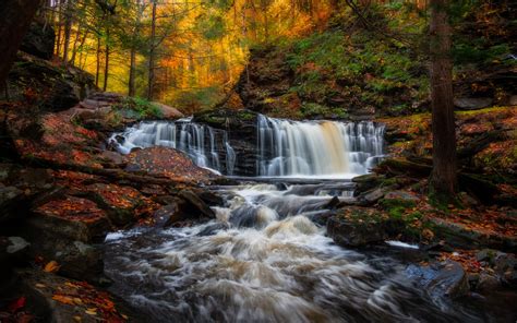 Download Wallpapers Cayuga Falls Waterfall Forest Autumn Kitchen