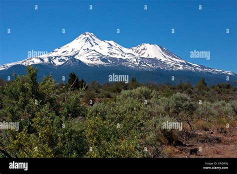 Shasta Hi Res Stock Photography And Images Alamy