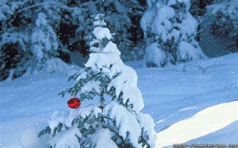 0 winter scenes images free download by dorottya kar. Winter Scenes Desktop Backgrounds (40 Wallpapers ...