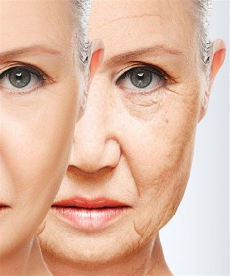 Hold Off My Aging Skin Home Remedies 14 Ways To Delay Sagging Skin