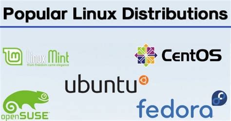 10 Best Most Popular Linux Distributions In 2021