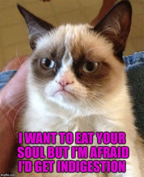 Grumpy Cat Is Hungry Imgflip