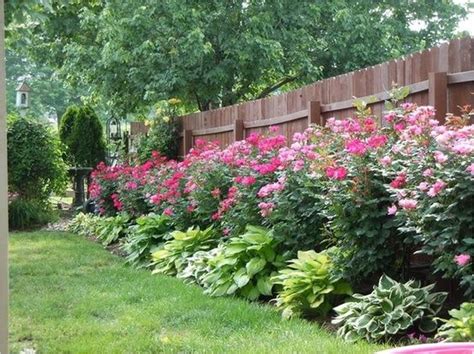 35 Beautiful Rose Garden Ideas Trend4homy Simple Small Rose Garden