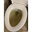 Toilet Won’t Flush Bowl Fills Up & Takes Hours To Drain Nasty Sludge 