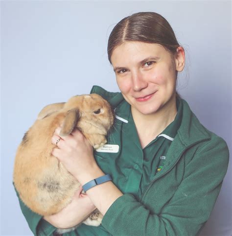 17th 25th June Rabbit Awareness Week Withy Grove Vets